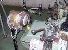  SULZER Model 110-ES-E14 F Weaving Looms,